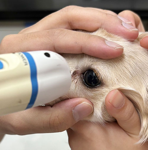 川西市清和台東・清和台動物病院