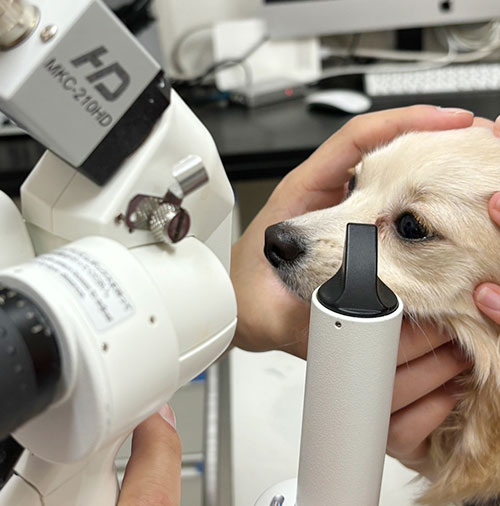 川西市清和台東・清和台動物病院