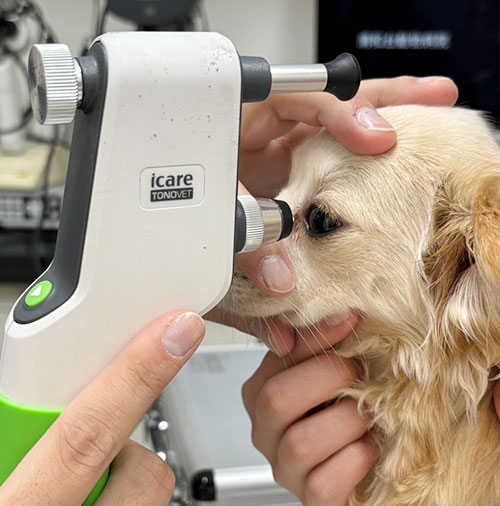川西市清和台東・清和台動物病院