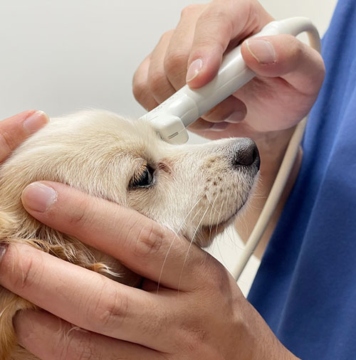 川西市清和台東・清和台動物病院